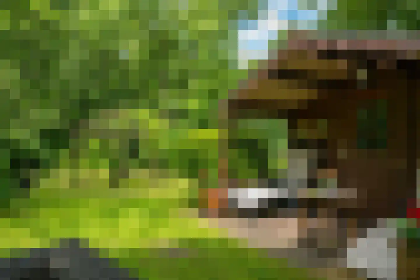 de Gaarde 315 Doetinchem thumbnail 78