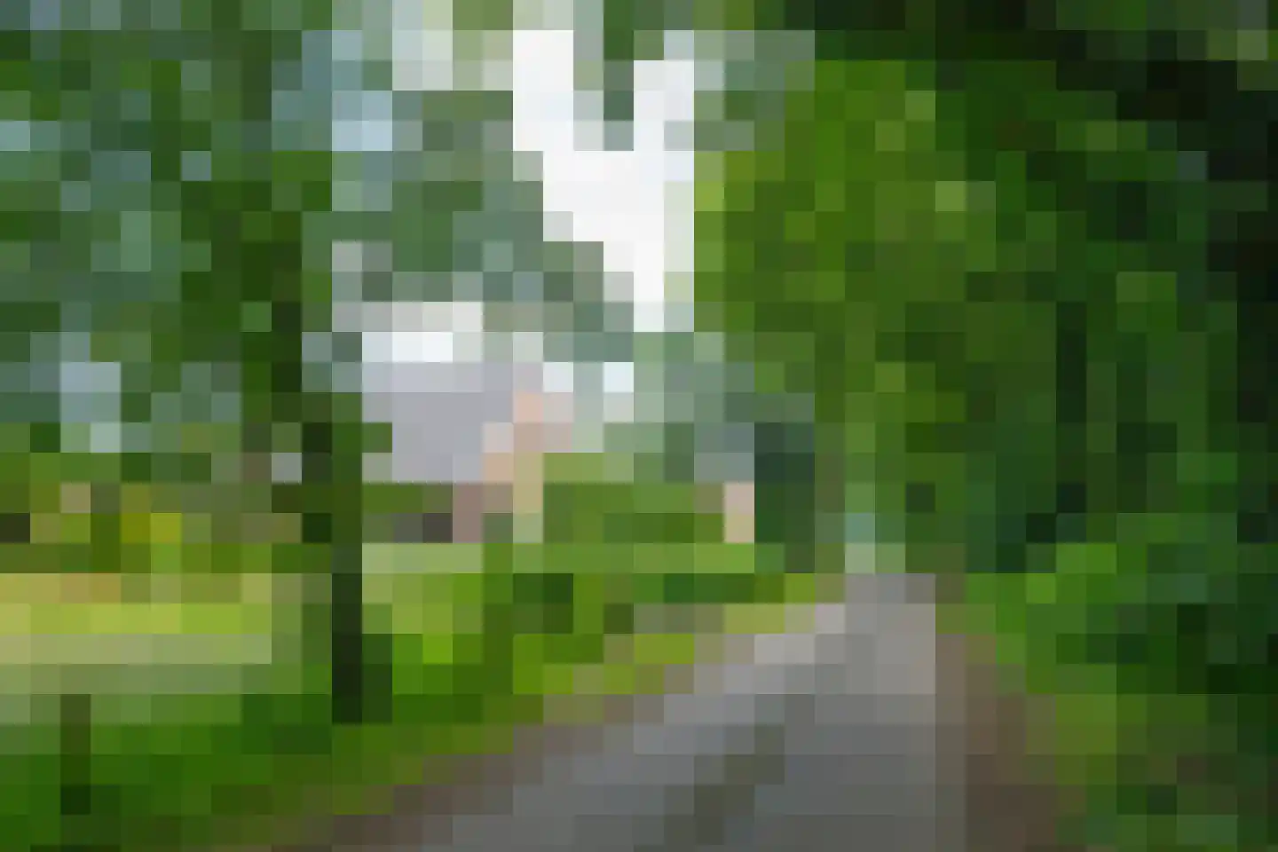 de Gaarde 315 Doetinchem thumbnail 8