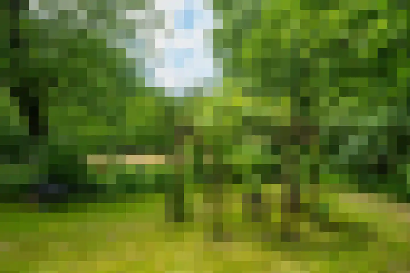 de Gaarde 315 Doetinchem thumbnail 81