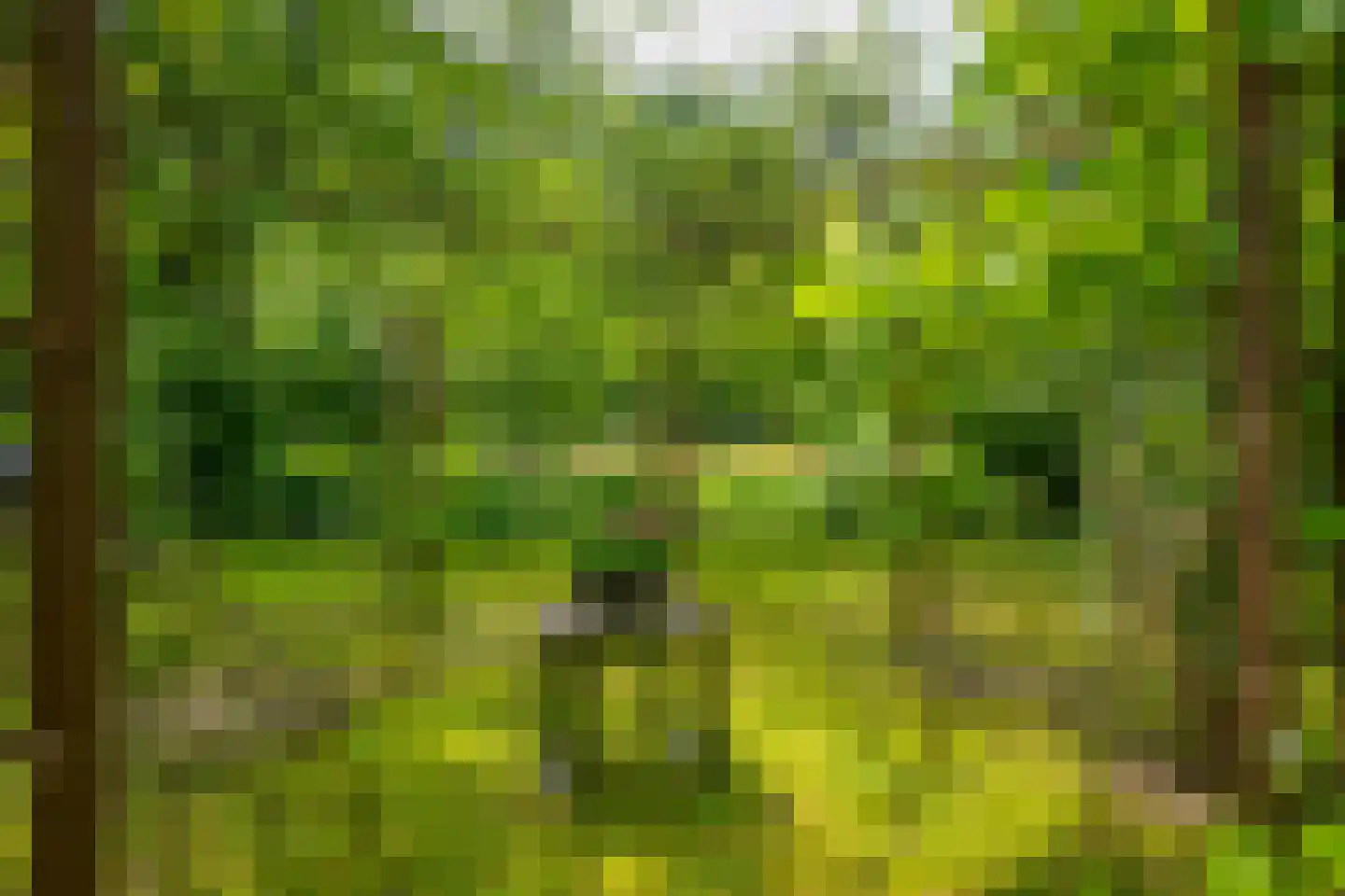 de Gaarde 315 Doetinchem thumbnail 82
