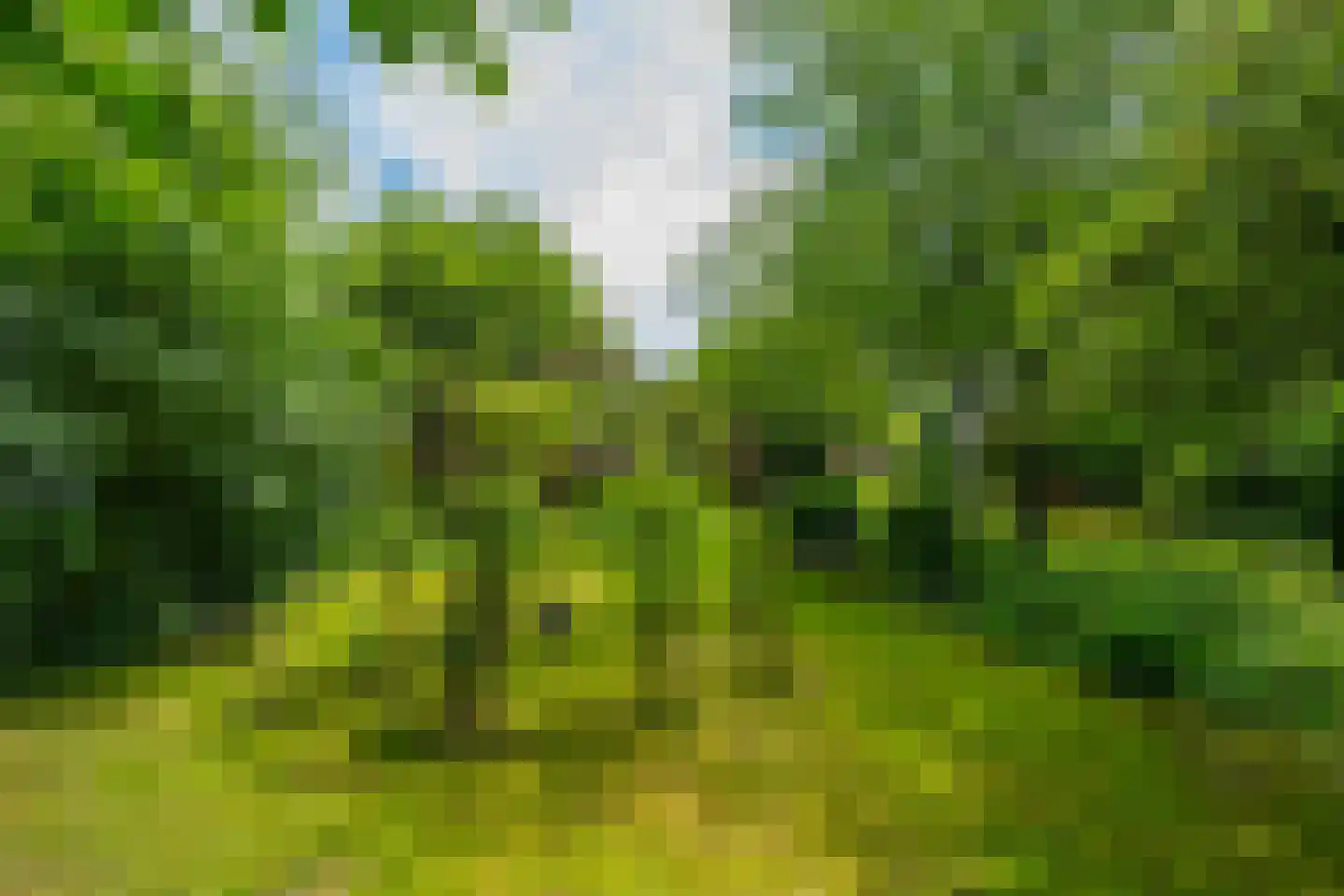 de Gaarde 315 Doetinchem thumbnail 83
