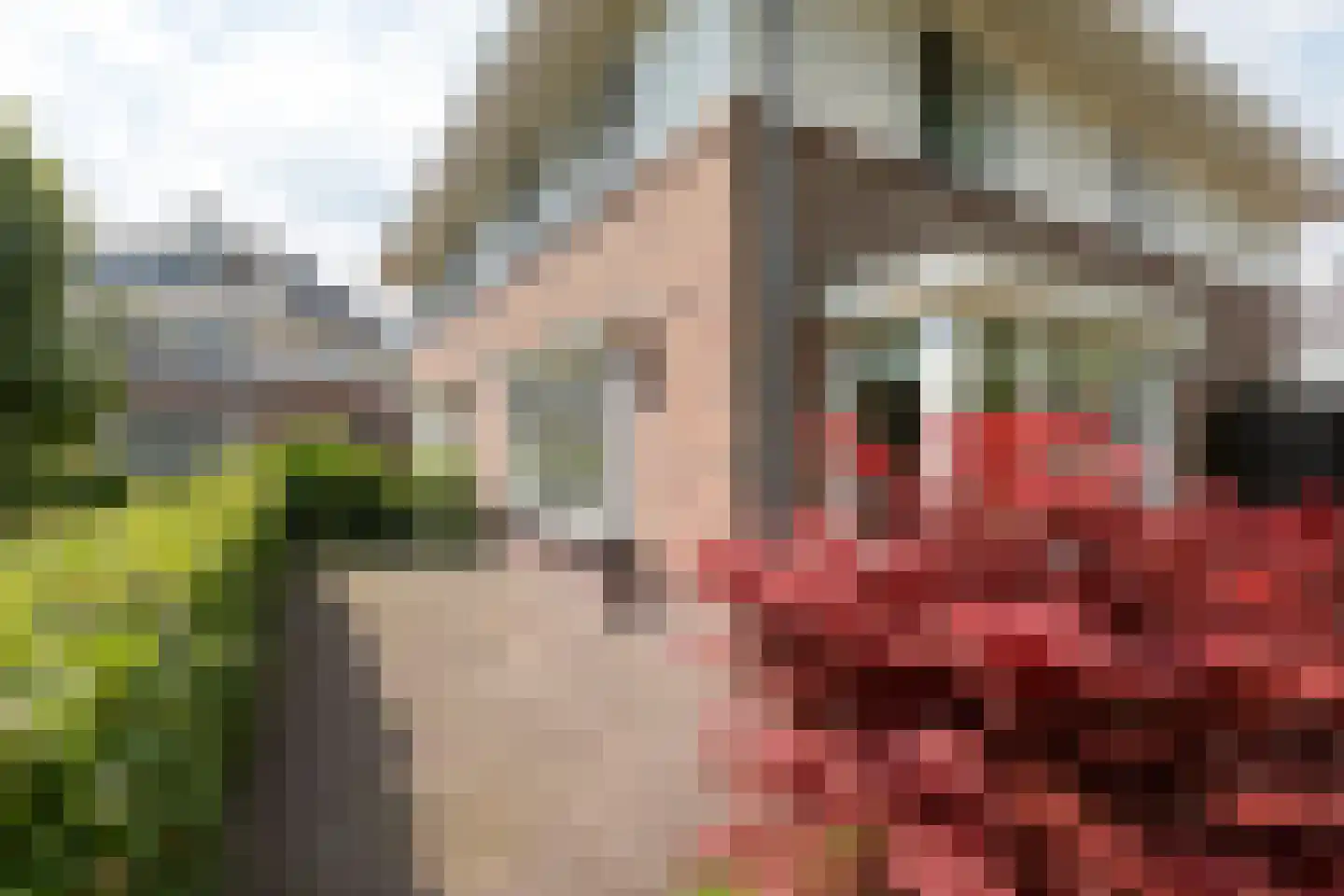 De Gaarde 41 Assen thumbnail 10