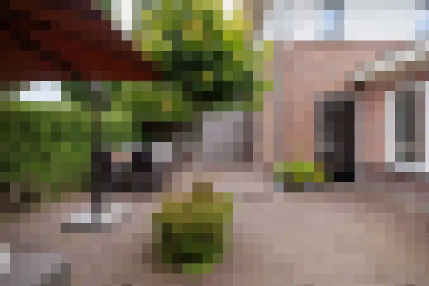 De Gaarde 41 Assen thumbnail 53