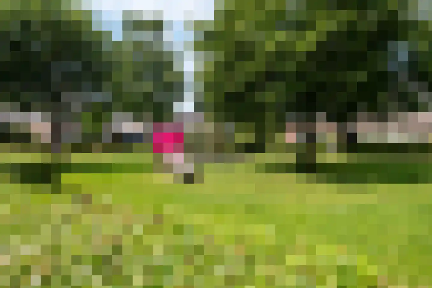 De Gaarde 41 Assen thumbnail 56