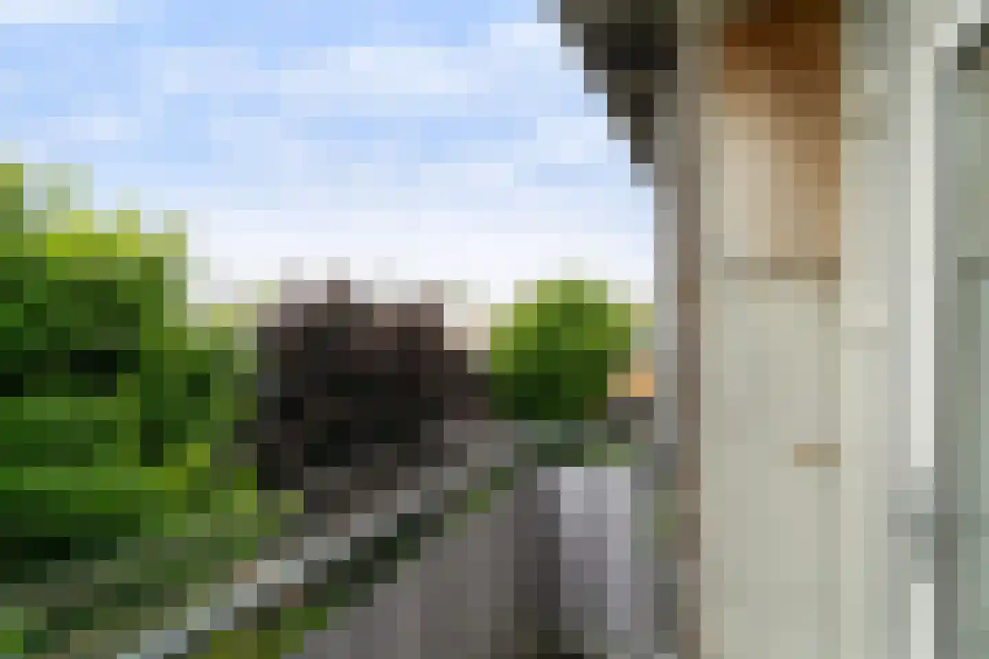 De Gaarde 49 Den Haag thumbnail 23