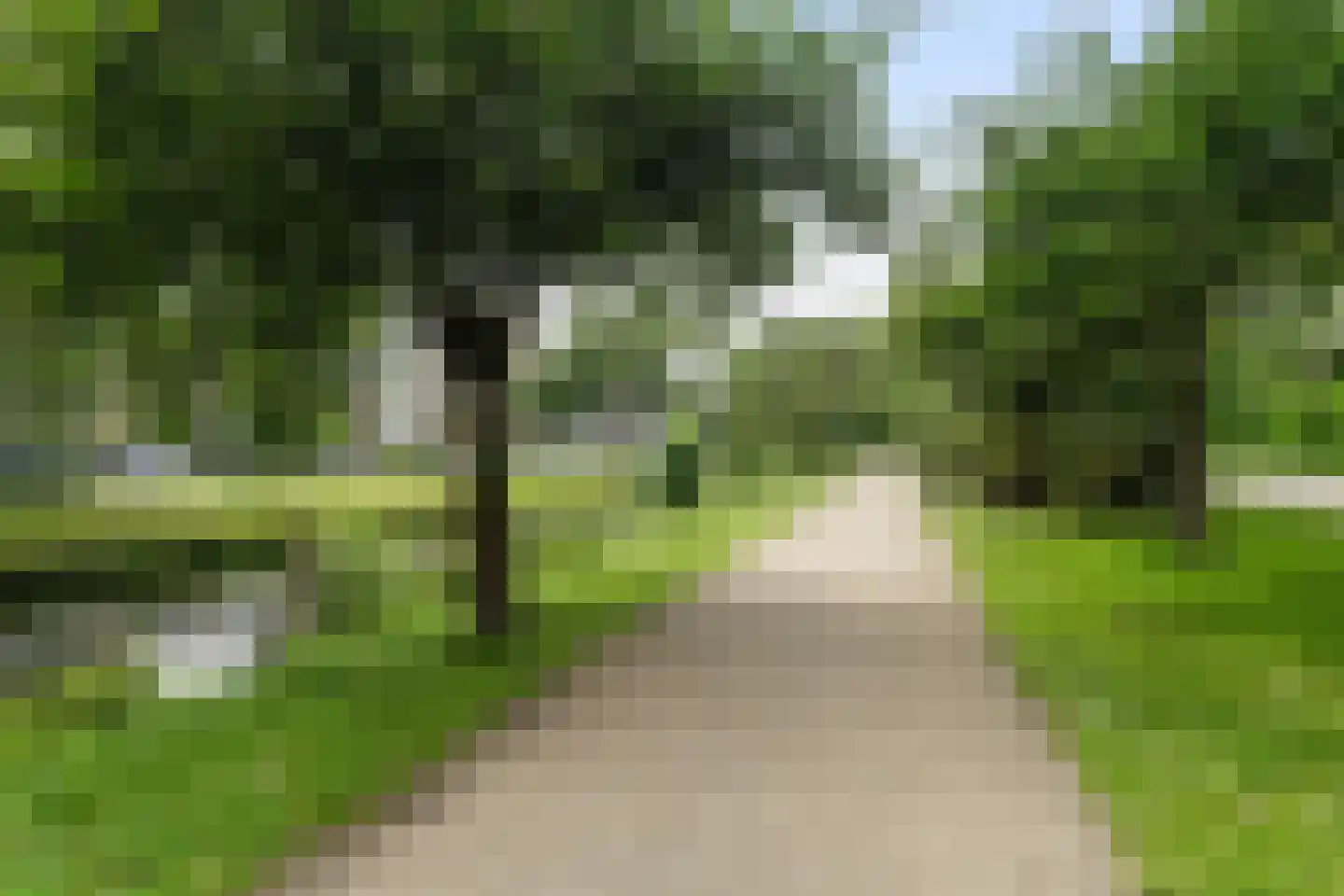De Gaarde 49 Den Haag thumbnail 29