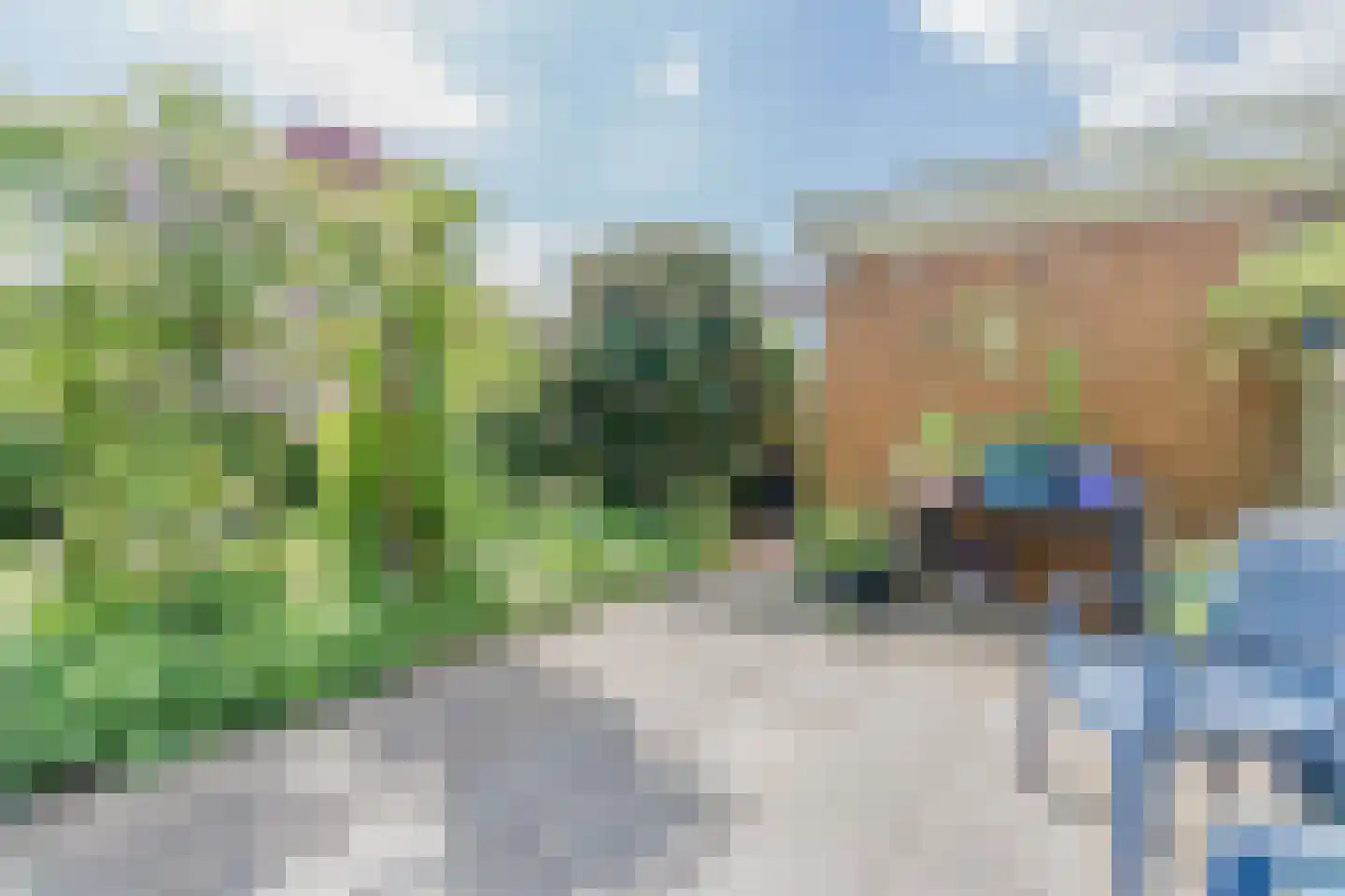 De Gaarde 61 Assen thumbnail 34