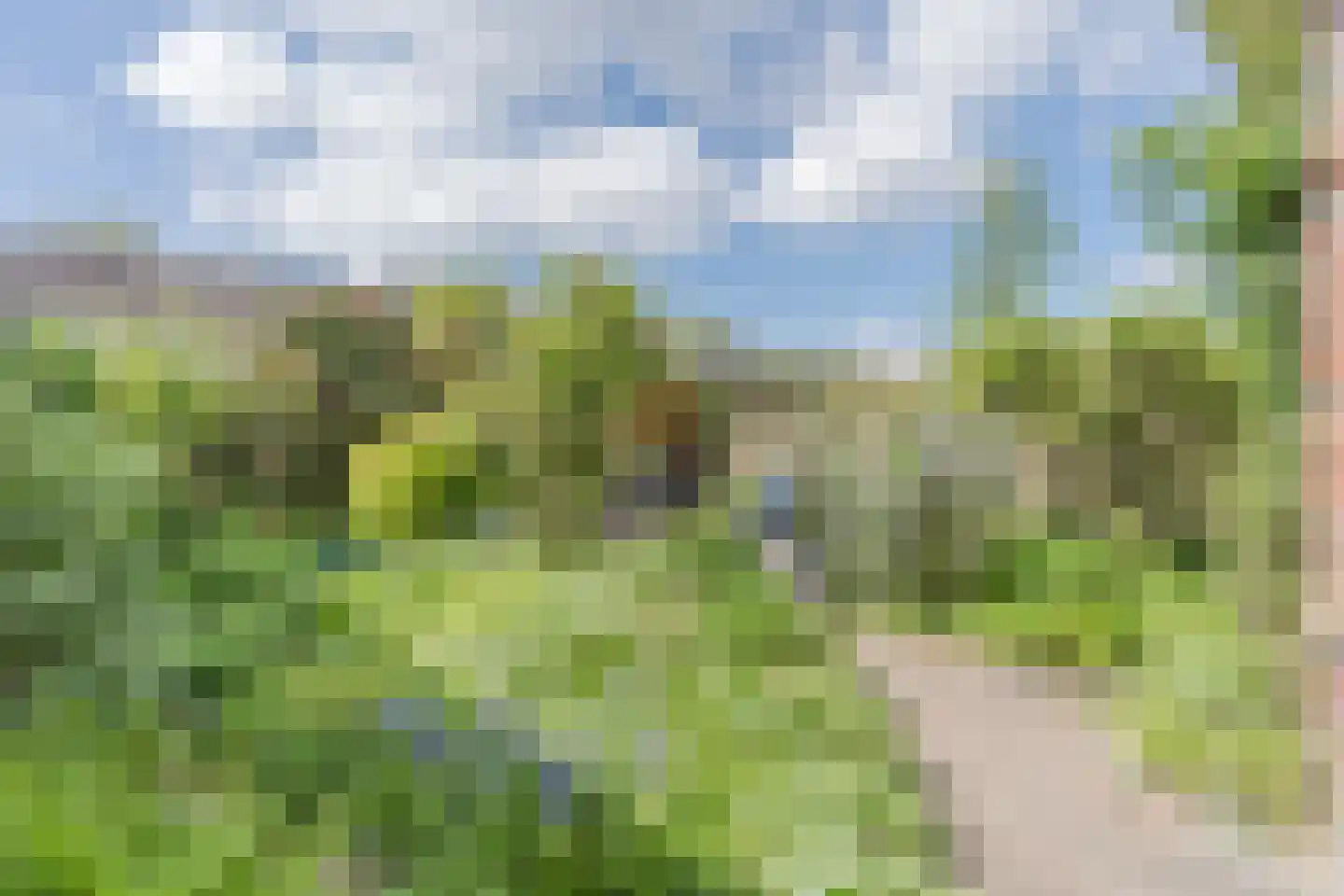 De Gaarde 61 Assen thumbnail 35