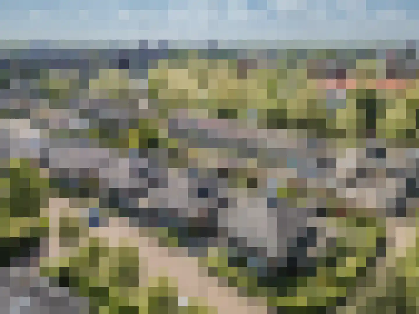 De Gaarde 61 Assen thumbnail 43