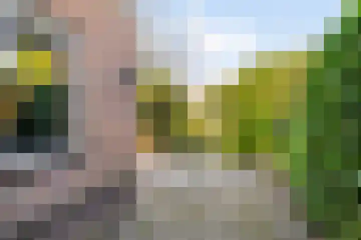 De Gaarde 72 Assen thumbnail 36