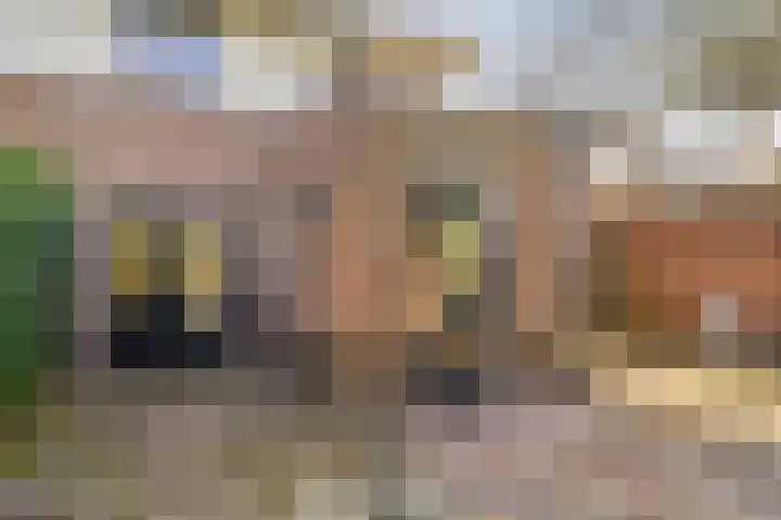 De Gaarde 72 Assen thumbnail 37