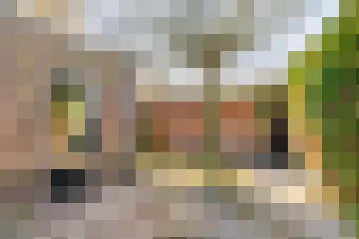 De Gaarde 72 Assen thumbnail 38