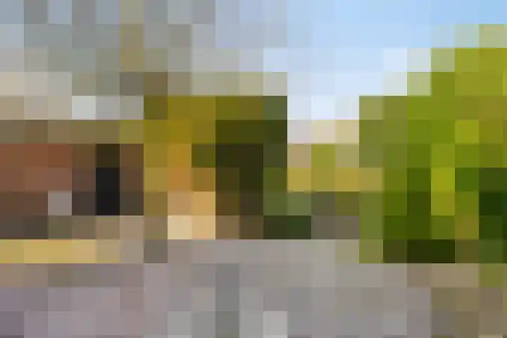 De Gaarde 72 Assen thumbnail 40
