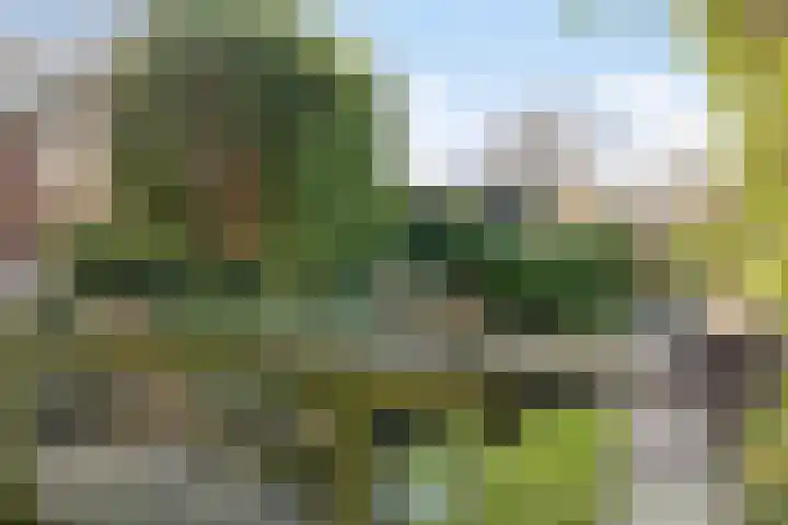 De Gaarde 72 Assen thumbnail 42