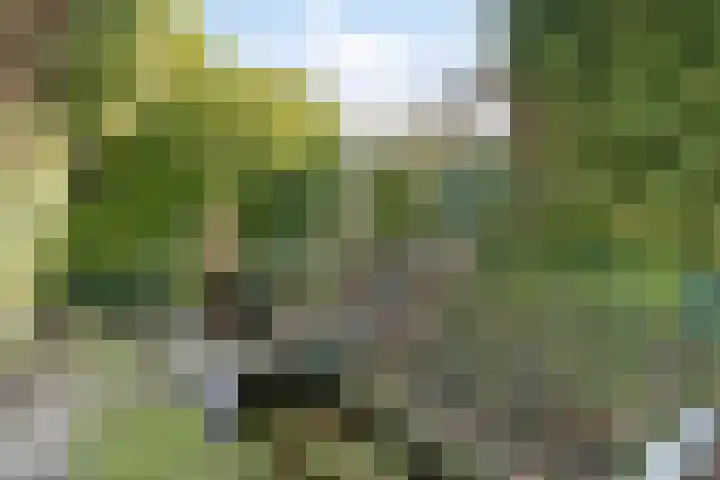De Gaarde 72 Assen thumbnail 43