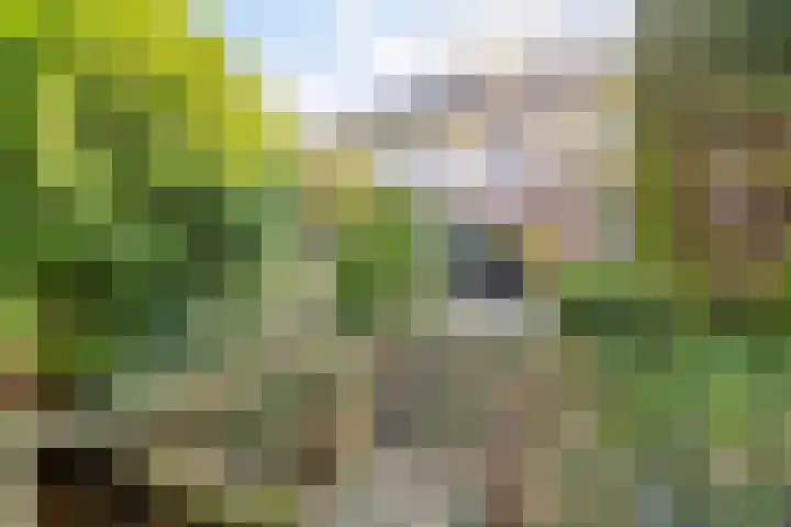 De Gaarde 72 Assen thumbnail 44