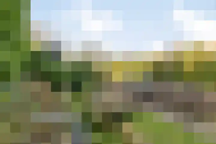 De Gaarde 72 Assen thumbnail 45