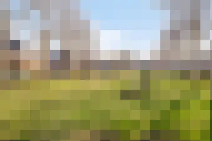 De Gaarde 72 Assen thumbnail 49