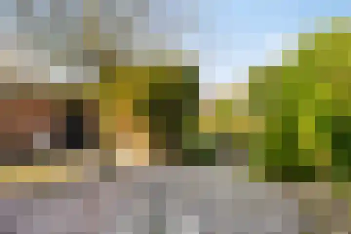 De Gaarde 72 Assen thumbnail 6