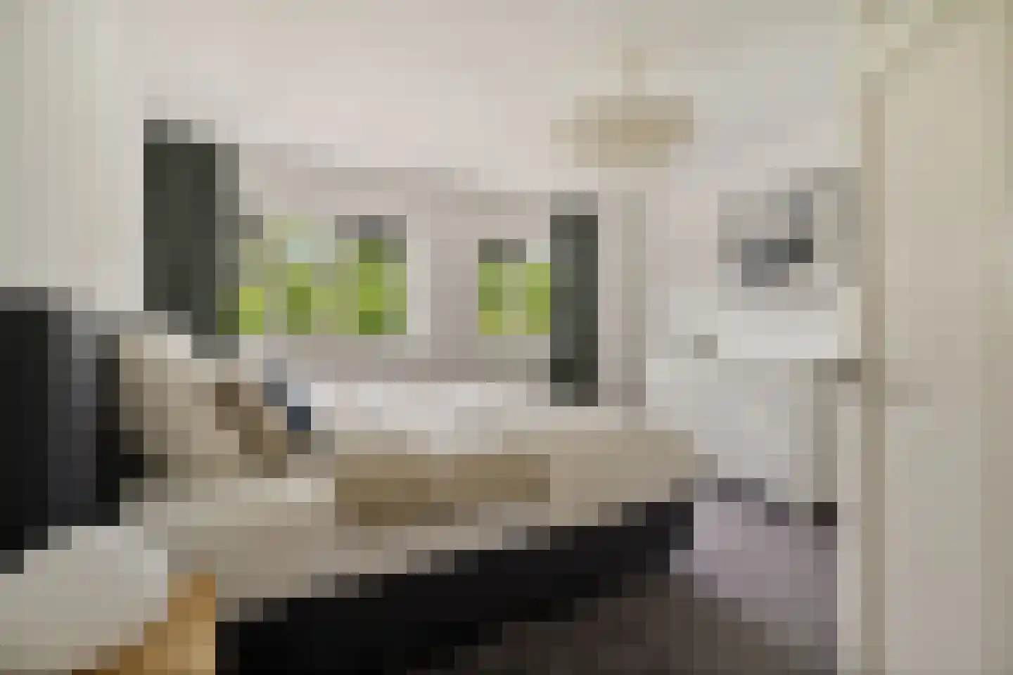 De Gaarde 76 Assen thumbnail 26