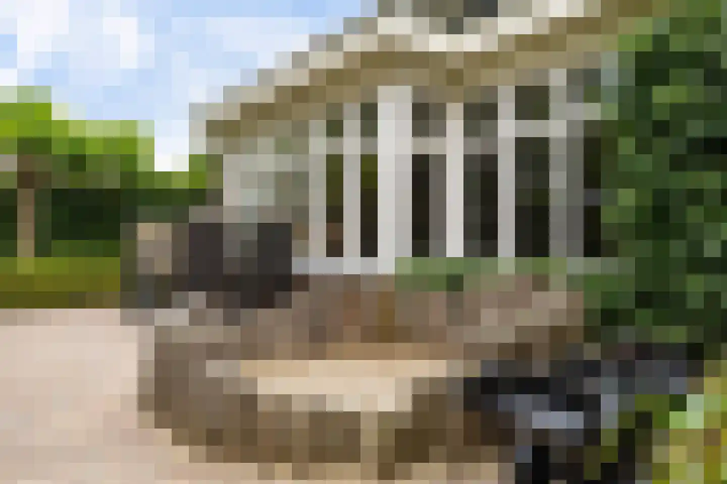 De Gaarde 76 Assen thumbnail 53