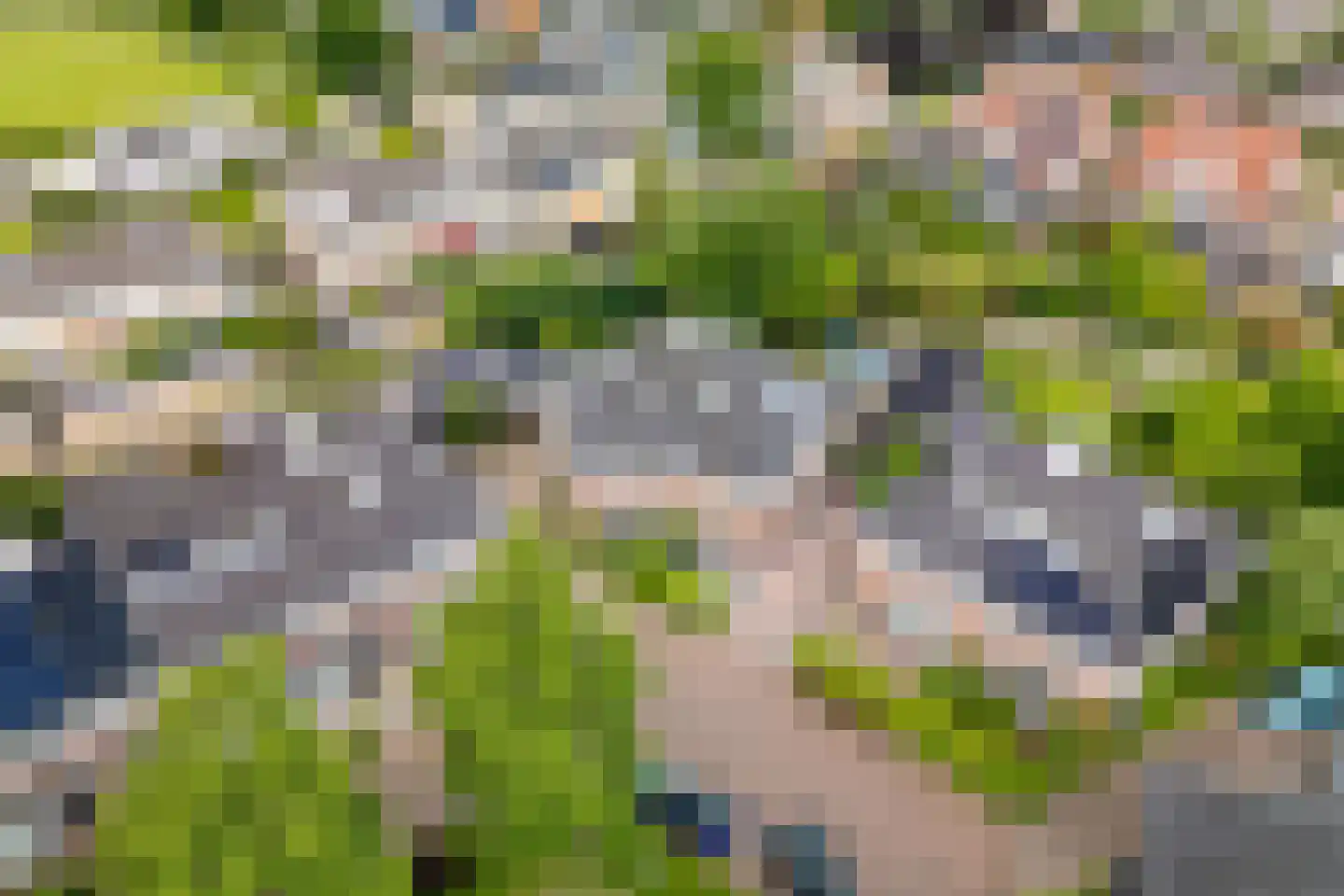 De Gaarde 76 Assen thumbnail 59