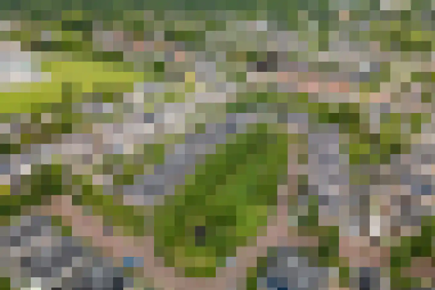 De Gaarde 76 Assen thumbnail 60
