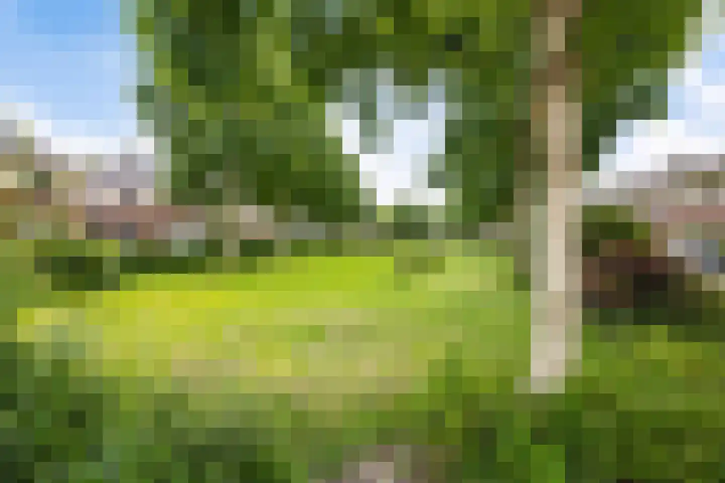 De Gaarde 76 Assen thumbnail 62