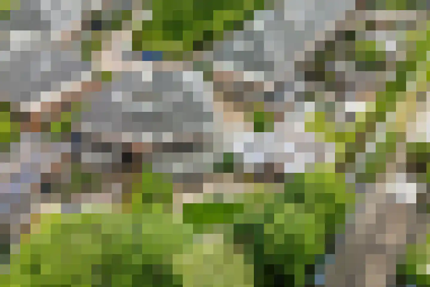 De Gaarde 76 Assen thumbnail 63