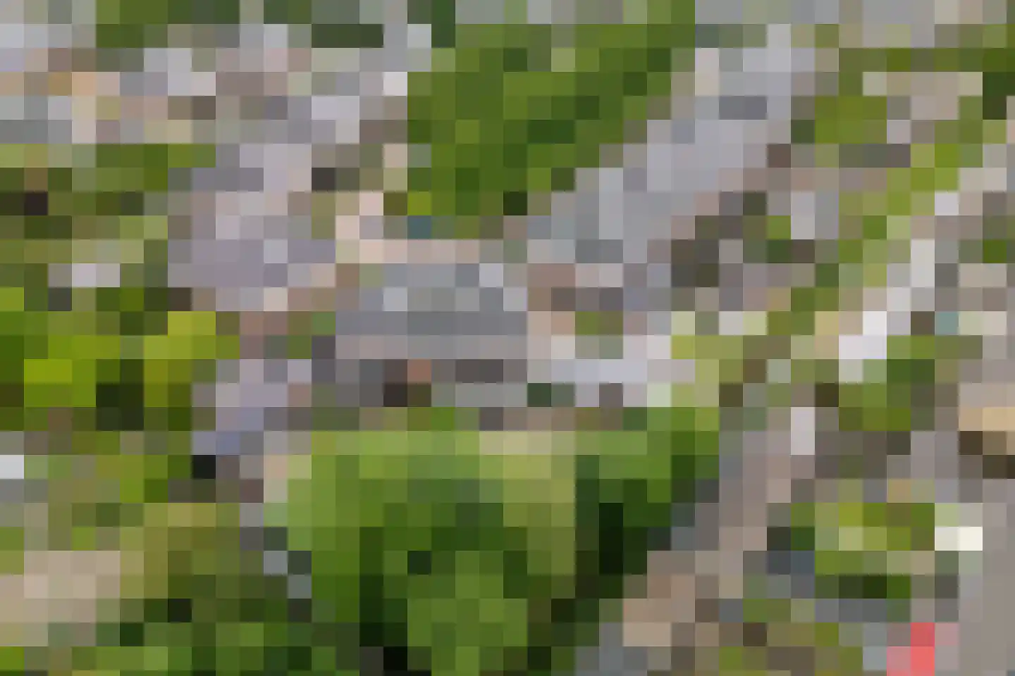 De Gaarde 76 Assen thumbnail 64