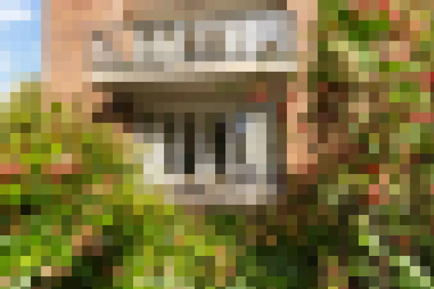 De Gaarde 8 Bunnik thumbnail 30