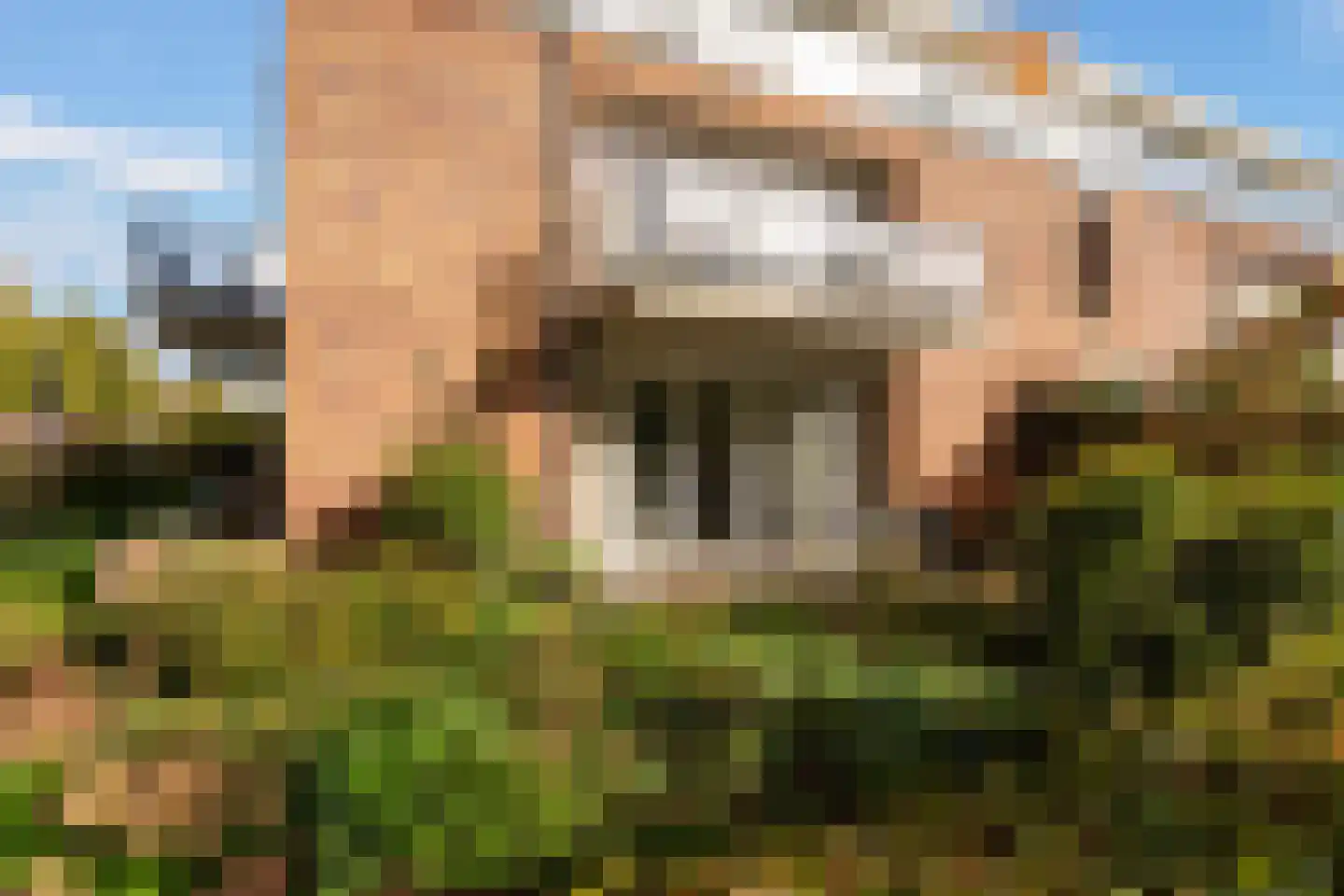 De Gaarde 8 Bunnik thumbnail 31