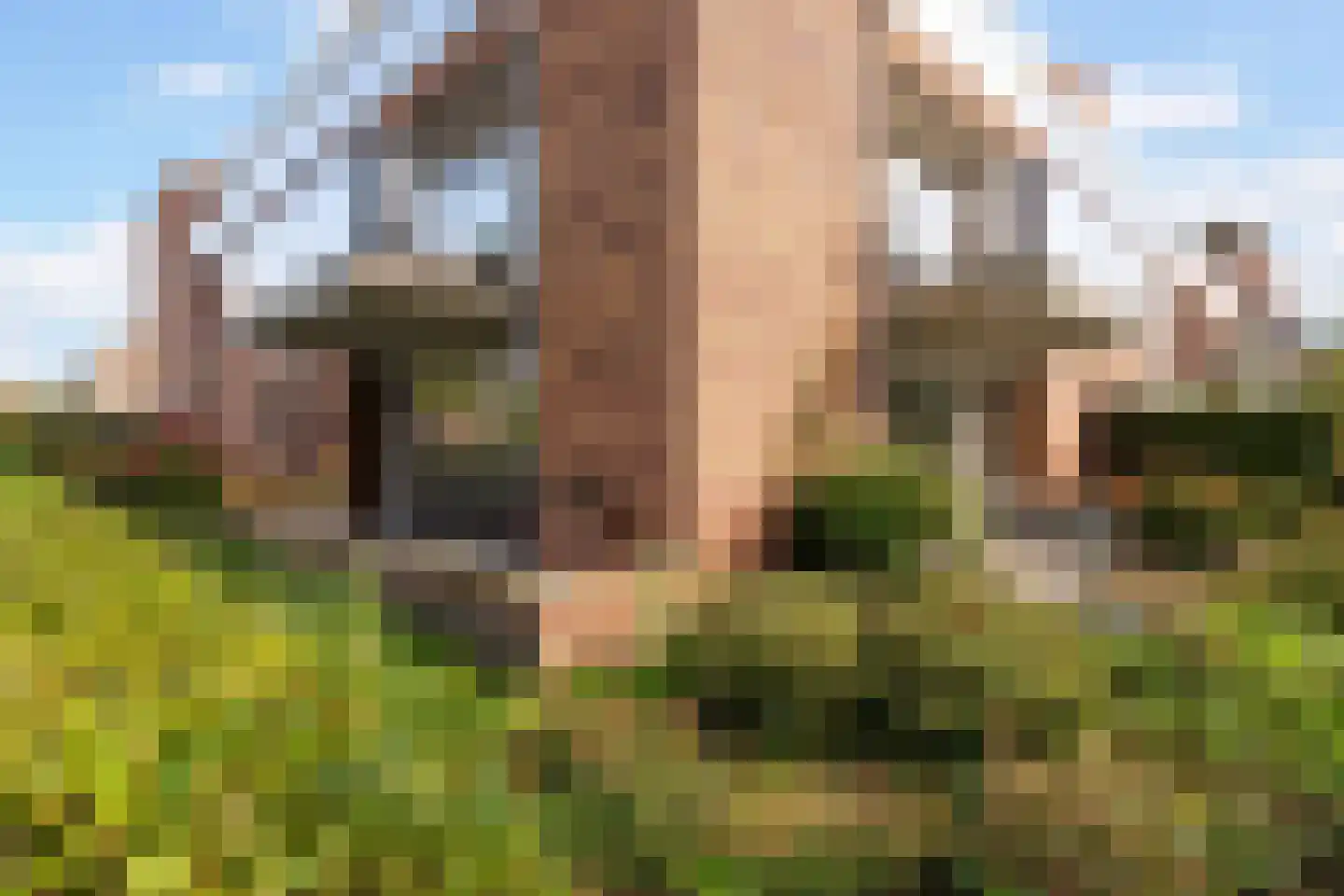 De Gaarde 8 Bunnik thumbnail 32