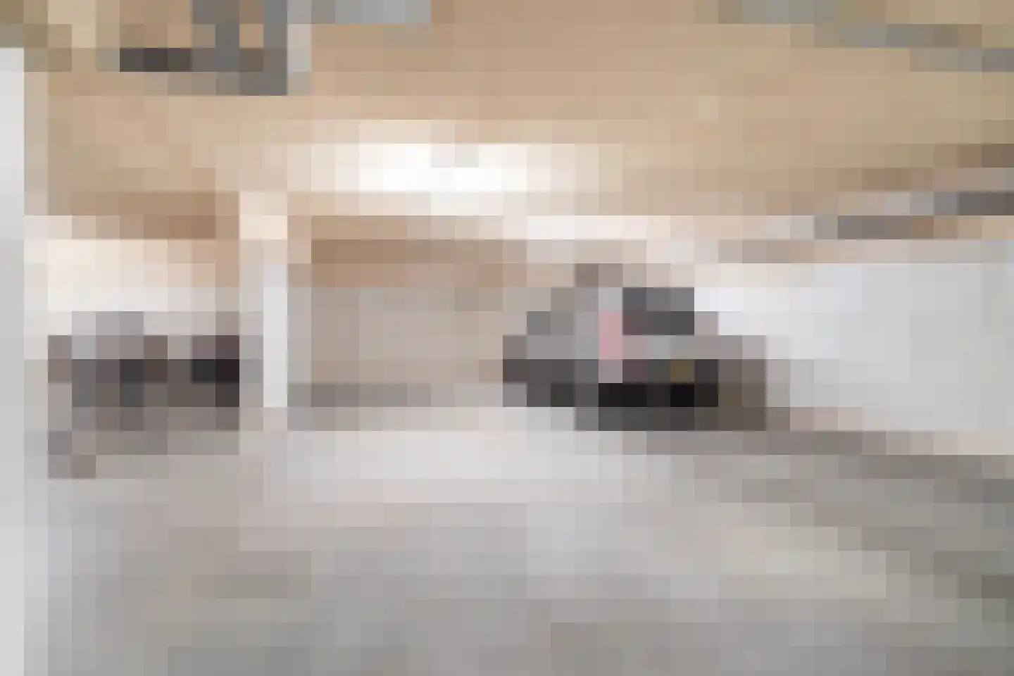 De Gaarde 8 Bunnik thumbnail 35