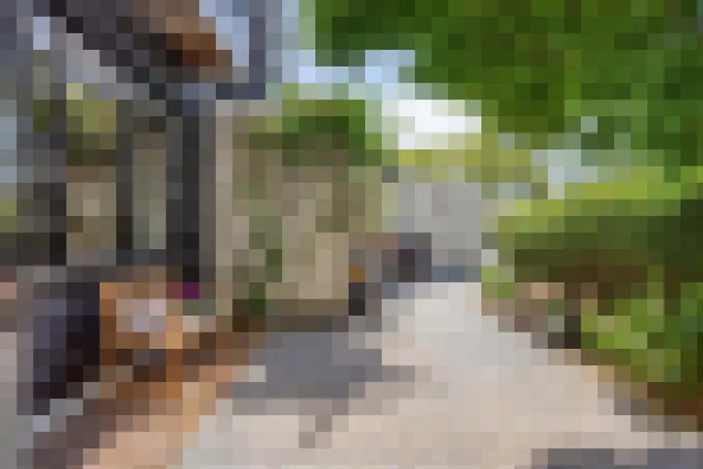 De Gaarde 8 Houten thumbnail 19
