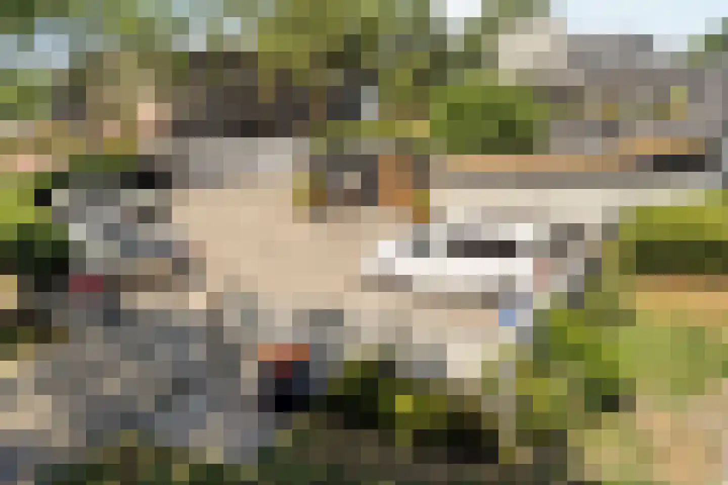De Gaarde 8 Houten thumbnail 24
