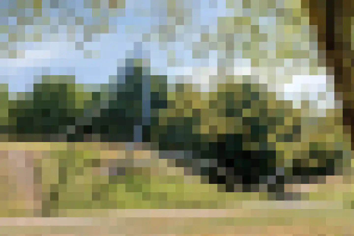 De Gaarde 8 Houten thumbnail 30