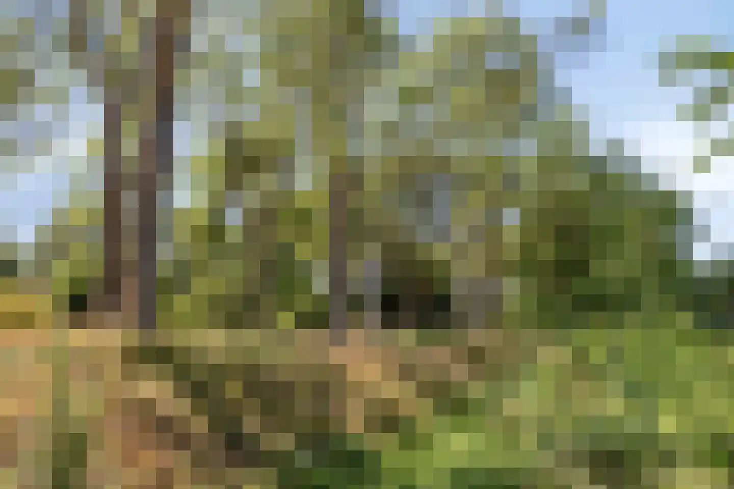 De Gaarde 8 Houten thumbnail 31