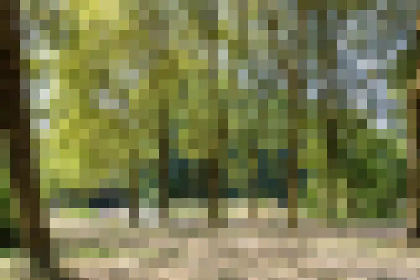 De Gaarde 8 Houten thumbnail 34