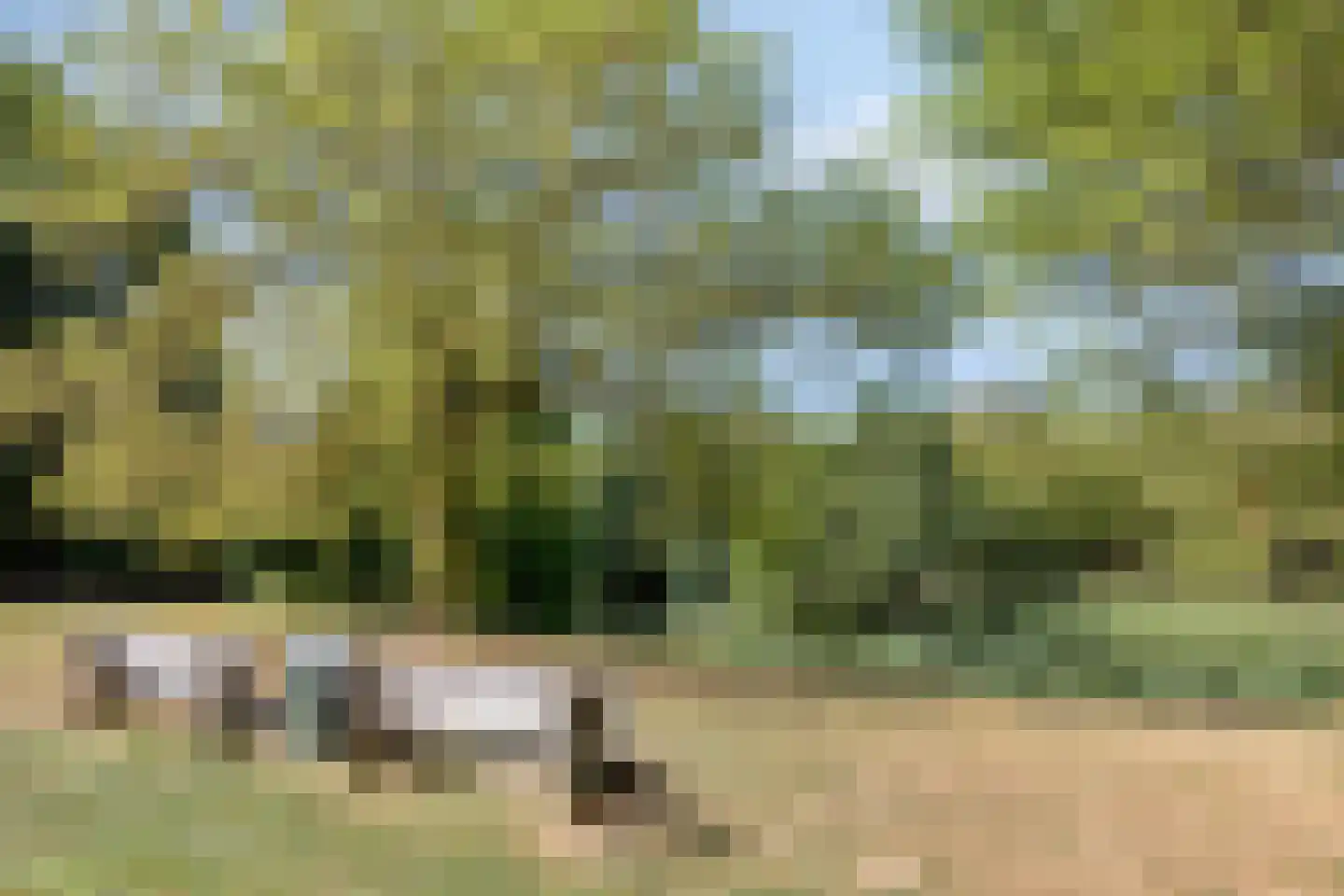 De Gaarde 8 Houten thumbnail 35