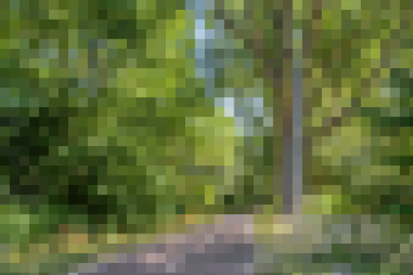 De Gaarde 8 Houten thumbnail 36
