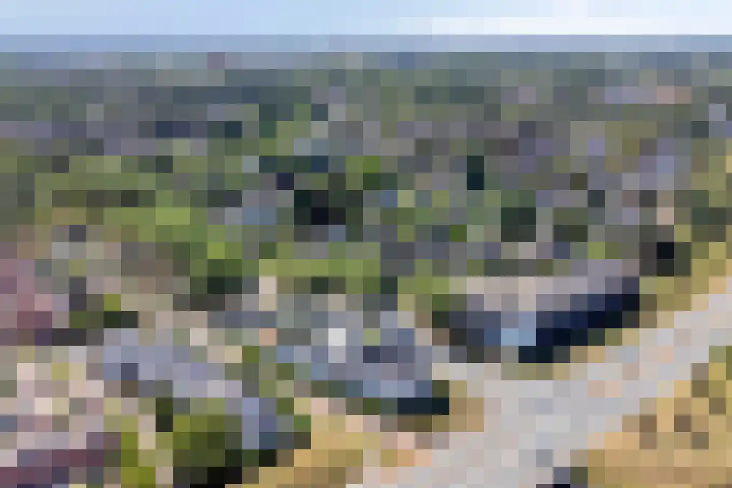 De Gaarde 8 Houten thumbnail 39