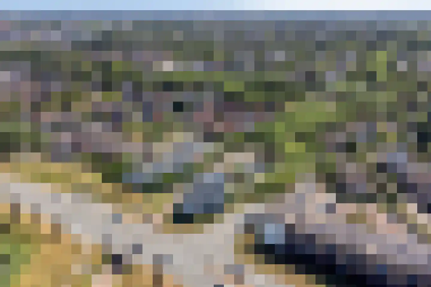 De Gaarde 8 Houten thumbnail 40