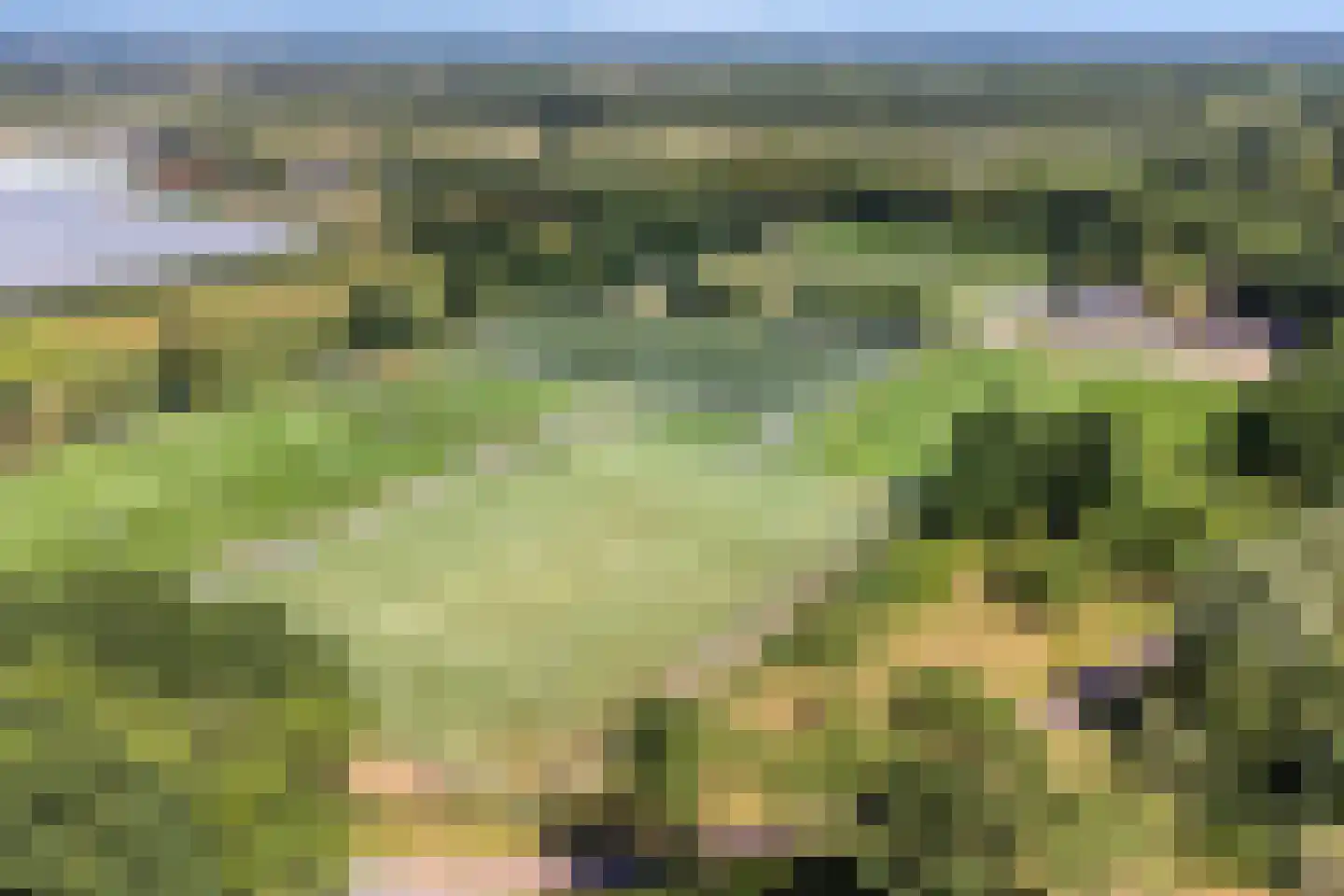 De Gaarde 8 Houten thumbnail 41