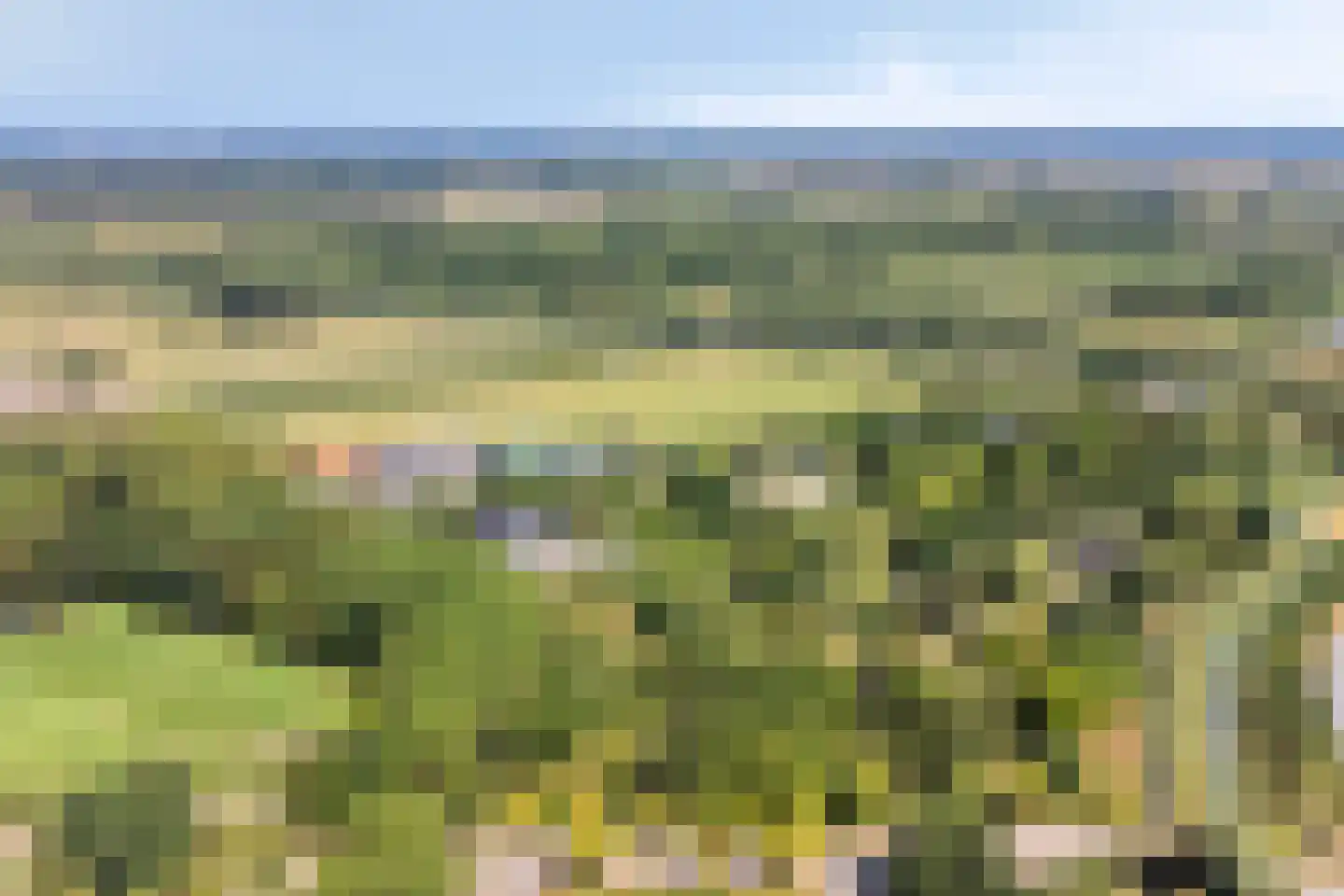 De Gaarde 8 Houten thumbnail 42