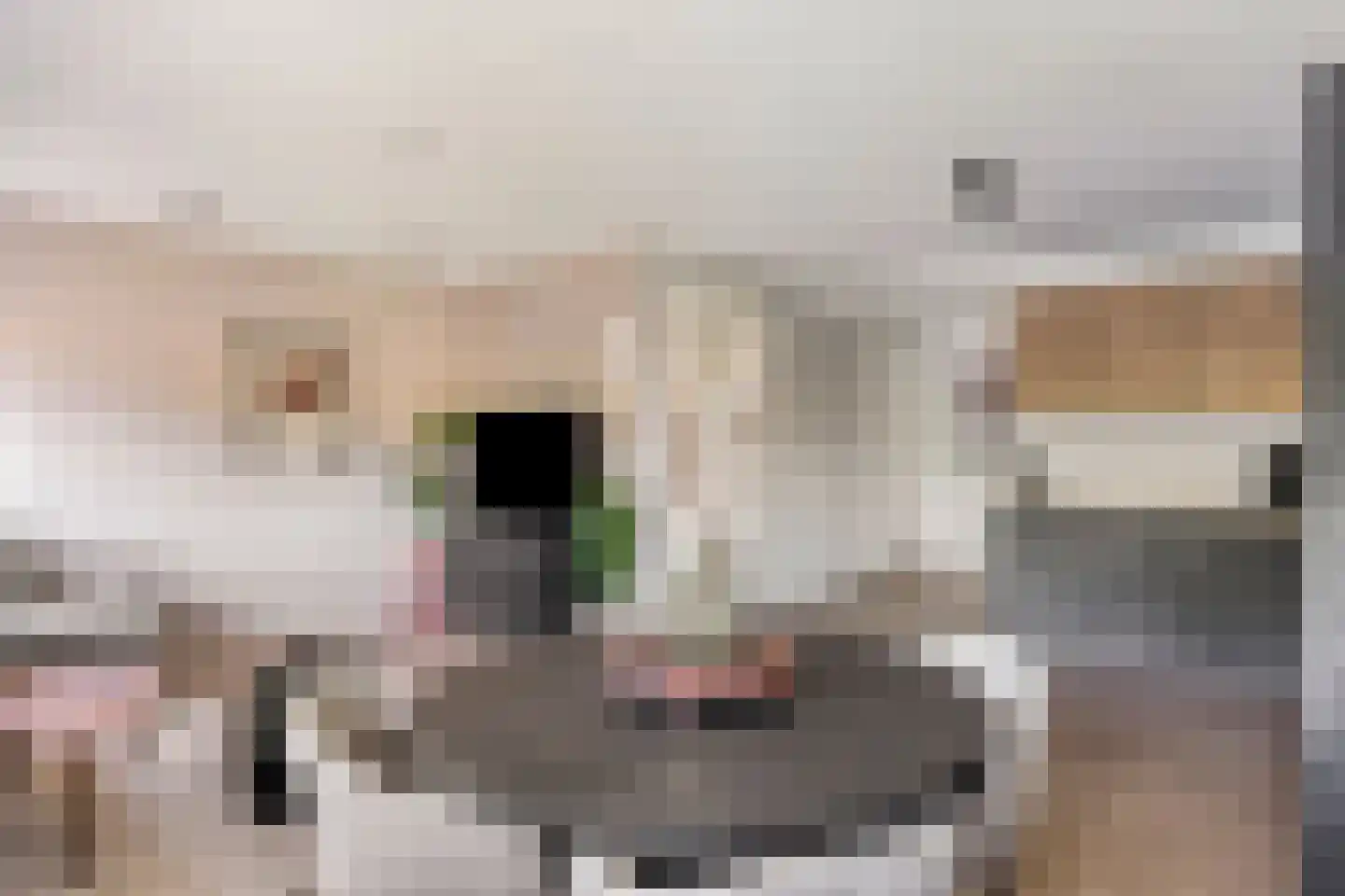De Gaarde 8 Houten thumbnail 7