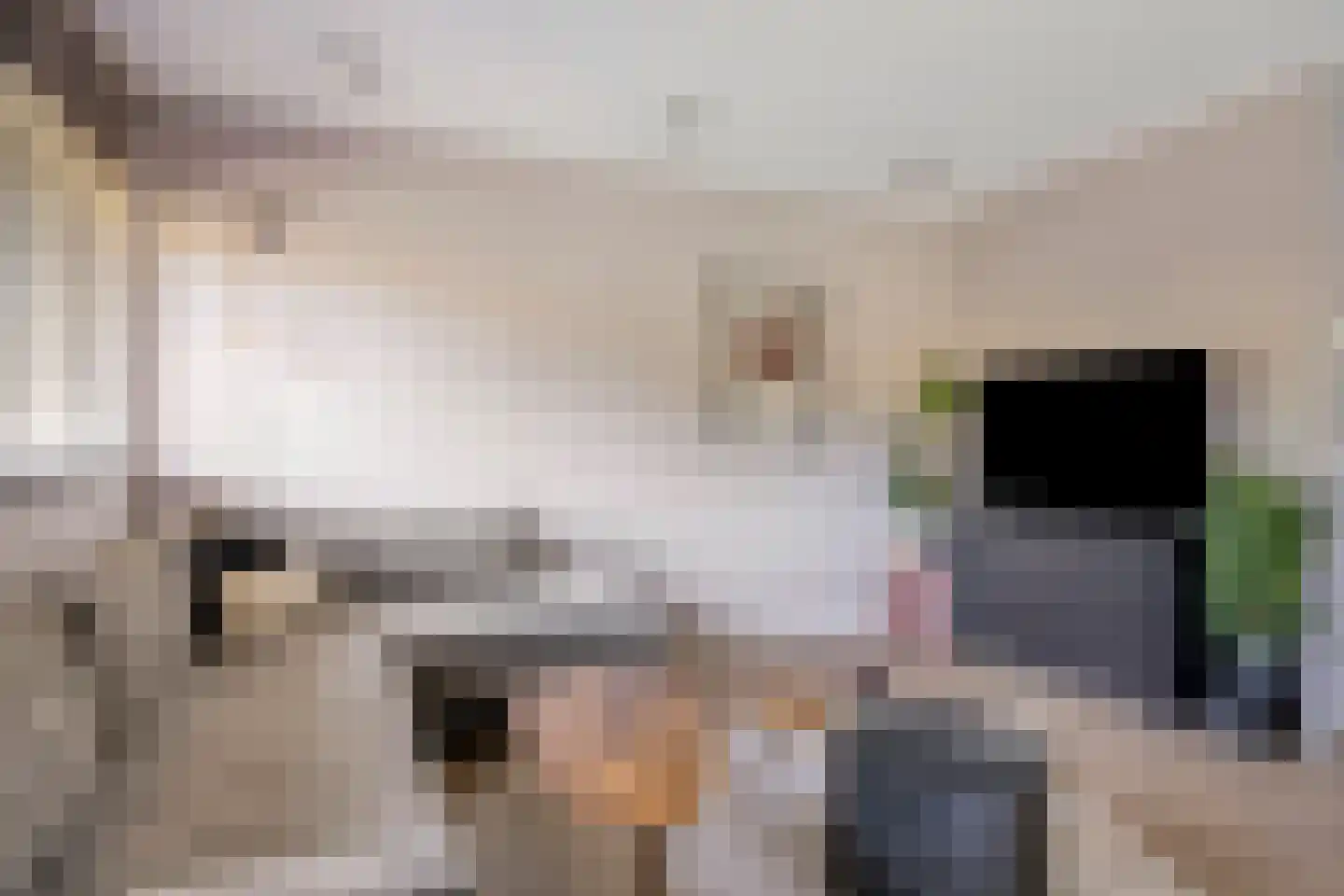 De Gaarde 8 Houten thumbnail 9