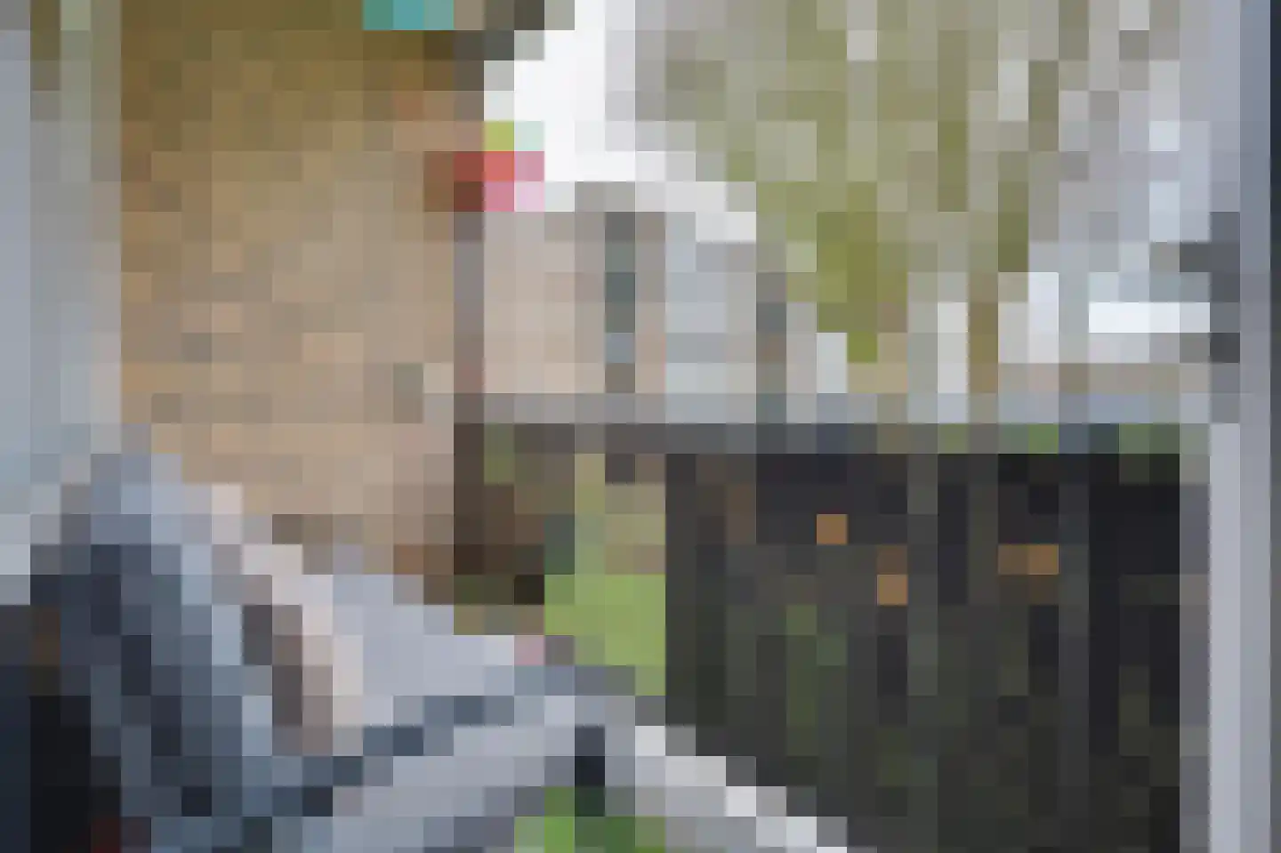 De Gaarde 82 Den Haag thumbnail 22