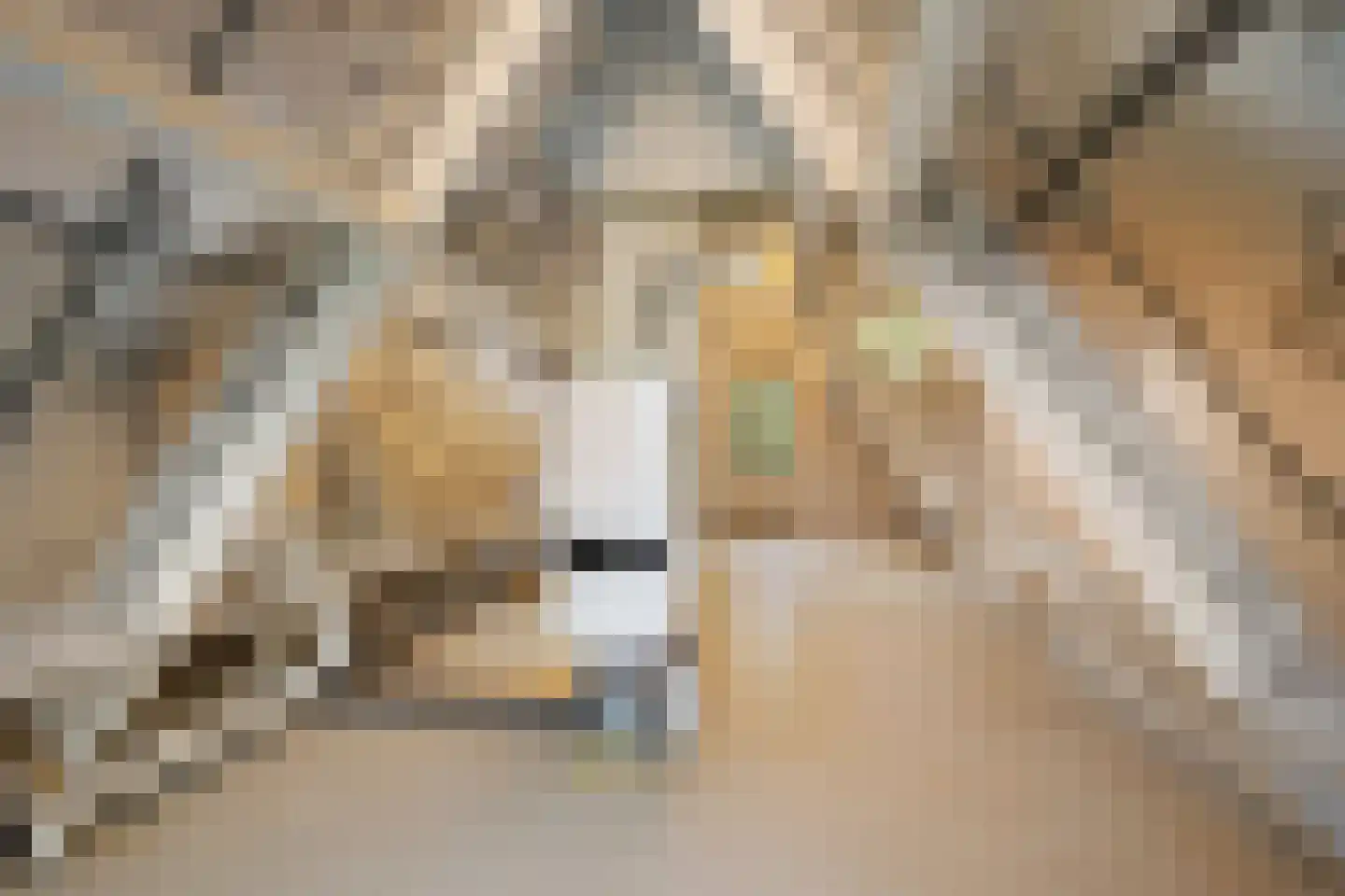De Gaarde 9 Rhoon thumbnail 46