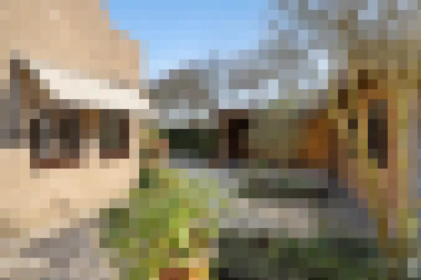 De Gaarde 9 Rhoon thumbnail 57